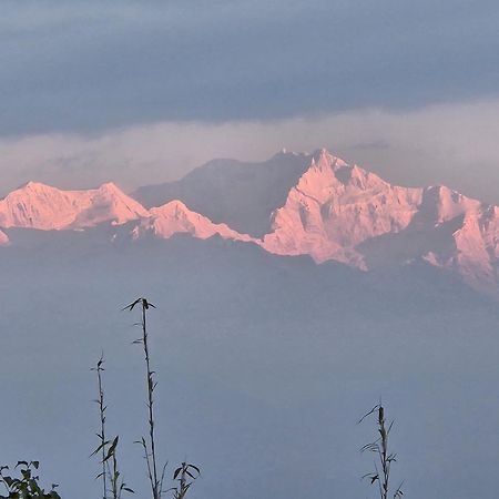 Lama Homestay Darjeeling  Esterno foto