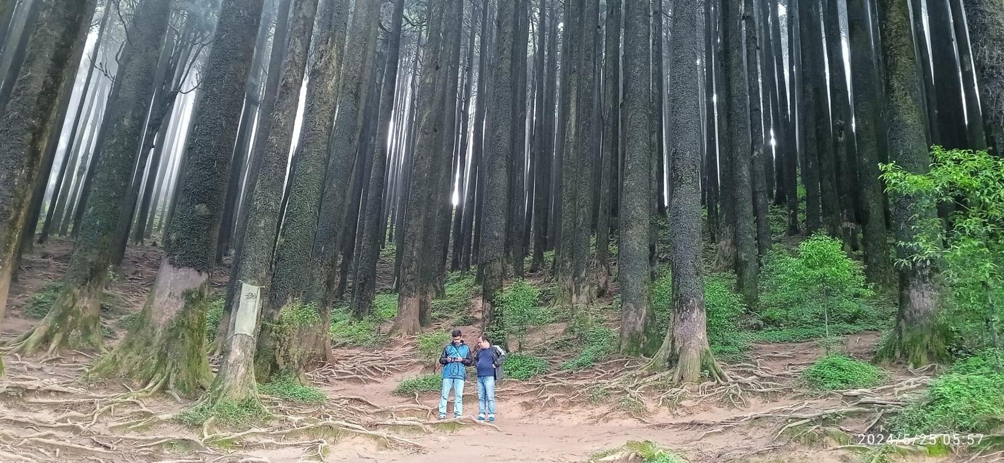 Lama Homestay Darjeeling  Esterno foto