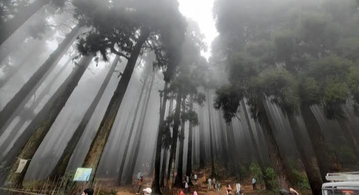 Lama Homestay Darjeeling  Esterno foto