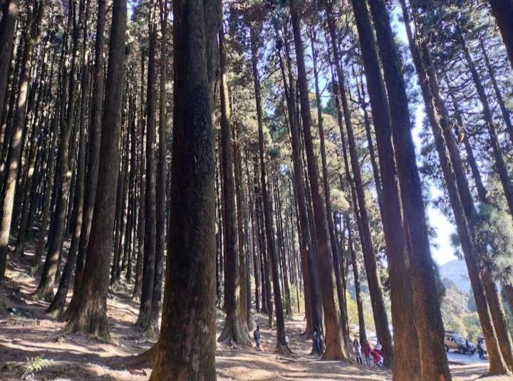 Lama Homestay Darjeeling  Esterno foto